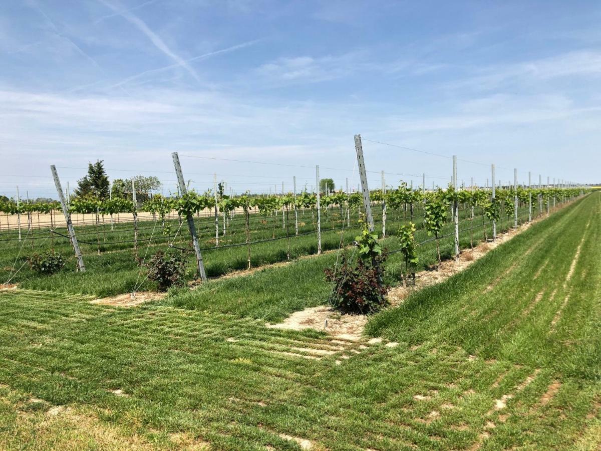 Villa Paolo San Donà di Piave Eksteriør bilde